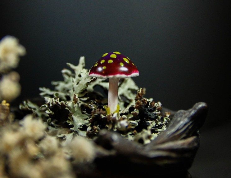 PURPURA MANU
